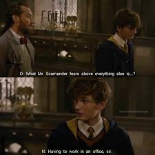 Pin By Emmanuelhoon On Harry Potter Fantastic Beasts Harry Potter Fantastic Beasts Harry Potter Funny