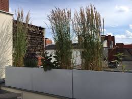 graser auf dachterrasse in berlin dachterrasse balkon dachgarten