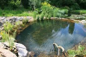 Part 2 Keyline Design In Cold Climate Sweden Natural Swimming Pools Swimming Pond Natural Pond