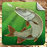 River monster is an app that provides you with the latest casino games with smooth gameplay and attractive visual graphics. Fishing River Monster Download Apk For Android Free Mob Org