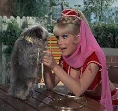 Djinn Djinn The Pied Piper Jeannie And Djinn Djinn I Dream Of Jeannie Dream Of Jeannie I Dream Of Genie