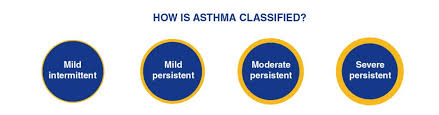 Image result for Mild Persistent Asthma
