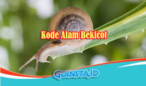 We did not find results for: Kode Alam Bekicot 4d 3d 2d Primbon Erek Erek
