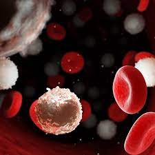 Nei casi più gravi, l'anemia mediterranea è invalidante e mette a rischio la vita delle persone; Talassemia Cos E Complicanze Trasmissione Cure Pazienti It