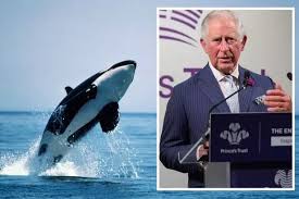 Donald Trump thinks Prince Charles is ...