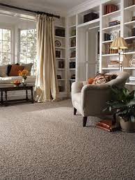 Stainmaster Carpet Idea Gallery Carpets Rugs Brown Carpet Living Room Beige Carpet Living Room Living Room Grey