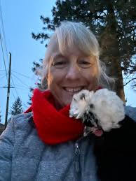 Lost Chicken in My Yard. Msg to Claim😊🐓