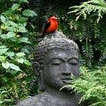 Plan it Wild, a NY Landscaping Firm, is Challenging Gardeners to Diversify  Their Lawns