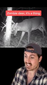 Hunting Hashtag Videos On Tiktok