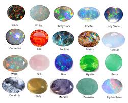 Image result for Opal