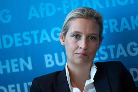 Reddit gives you the best of the internet in one place. Alice Weidel Infos Zur Afd Politikerin