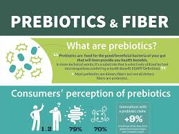 Infographics on Prebiotics and Fiber