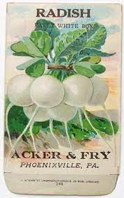 Acker Fry Radish White Vintage Seed Packet Vintage Seed Packets Vintage Labels Seed Packaging