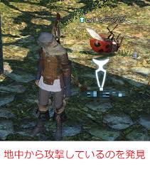 Ruthi Balen 日記 オンラインゲーム初心者の方へ 不正行為 Bot チート について 注意喚起 Final Fantasy Xiv The Lodestone