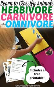 Learn To Classify Animals Herbivore Carnivore Omnivore Animal Sort Science Satu Herbivore And Carnivore Carnivores Herbivores Omnivores Science Games