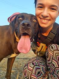 Nicosia Dog Rescue &...