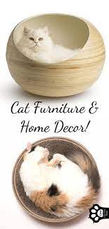 Pin On Pet Stuff