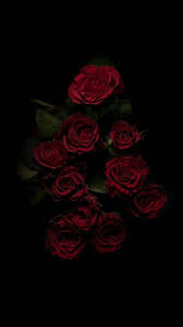We would like to show you a description here but the site won't allow us. Aesthetic Dark Rose Wallpapers Posted By Zoey Tremblay
