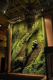 How to create a living wall indoor vertical garden. 8 Ideas To Inspire Your First Living Wall Essential Home And Garden