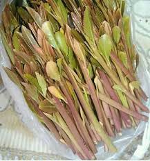 Maybe you would like to learn more about one of these? Ø£Ù†Ø§Ù‚Ø© Ø´Ø§Ø¨ ×'×˜×•×•×™×˜×¨ Ø¨Ø±Ø¯ Ø§Ù„ÙŠÙˆÙ… 3 11 2020 Ø§Ù„Ù‚Ø§Øª Ø§Ø±Ø­Ø¨ÙŠ Ù…Ø§ÙÙŠØ´ Ù†ÙˆÙ… Ø£ÙŠØ´ Ø§Ù„Ø­Ù„ Ø£ÙŠÙ† Ø£ØµØ­Ø§Ø¨ ØµÙ†Ø¹Ø§Ø¡