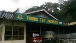 Maybe you would like to learn more about one of these? Ptpn Ix Kebun Jolotigo Pekalongan Indonesia Youtube