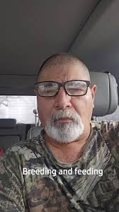 Charlie Carr Gamefowl Conditioning Pena