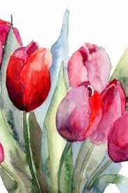 Tulips Flowers Watercolor Painting Suluboya Cicekler Sanat Projeleri Painting