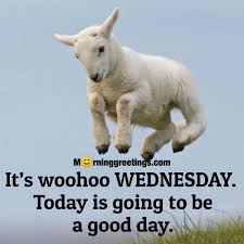 It's wednesday and enjoy this day like a squirrel. 50 Wonderful Wednesday Quotes Wishes Pics Morning Greetings Morning Quotes And Wishes Images