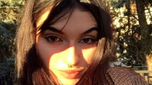 Video nell'articolo 1