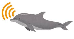 超音波を出すイルカのイラスト | かわいいフリー素材集 いらすとや