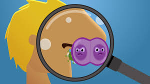 We did not find results for: Vaccineren Ggd Hollands Noorden Corona