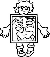 X Ray Exam Coloring Page Super Coloring Xray Art Preschool Coloring Pages Human Body Art