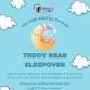 Teddy Bear Sleepover event image