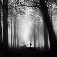 Pin By Salome Hanekom On B W The Timeless Art Of Monochrome Black And White Photographs Weird World Black And White