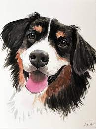 If you have any questions or would like to commission an original watercolor painting of your beloved companion, please contact catherine using her contact form, or use the form below. Pet Portrait Custom Pet Portrait Watercolor Original Dog Etsy