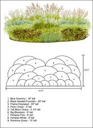 Ornamental Grass Layout Plan Ornamental Grass Landscape Grasses Landscaping Ornamental Grasses