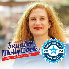 State Senator Cook is the newly-elected, first openly LGBTQ+ Texas Senator.  She is an ER nurse, with ten years of experience, a community organizer,  decision-maker, and communicator who will fight year-round for