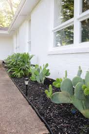 Here is the complete guide. How I Keep Tropical Desert Plants In A Cold Climate Location A Beautiful Mess