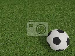 Arbetet har finansierats med pengar från f.d. Fotboll Eller Fotboll Pa Fotbollsplan Pa Uppifran 3d Fototapet Fototapeter Toppvy Straff Masterskap Myloview Se