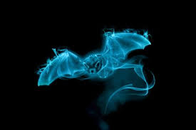A patronus is a form of magic, produced by the patronus charm, which is a defensive spell to fend off dementors. Phoenix Patronus Wiki Harry Potter Amino