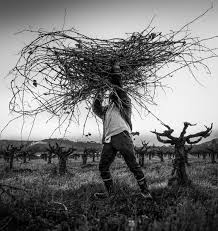 Image result for Sandalwood Spice 1990 Tracer