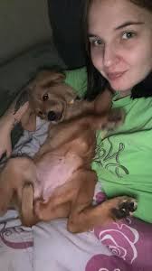 Tips for brushing a dog's teeth without force