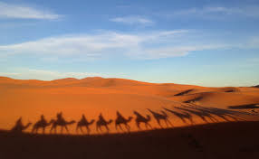 B) camel riding in marocco see all of southern morocco on a camel! Adventures On The 3 Day Sahara Desert Tour From Marrakech