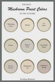 The Best Mushroom Paint Colors For Your