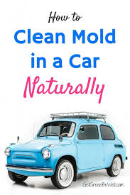 How to remove mold from a car interior including the seats and door panels using vapor steam and an all purpose cleaner. How To Clean Mold In A Car Naturally Get Green Be Well