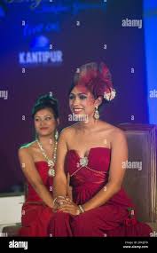 Image result for Pachylobus osika