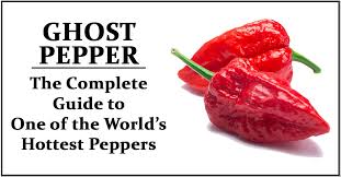 What Are Ghost Peppers How Hot Are They Sonoran Spice