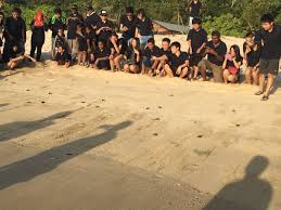 Check spelling or type a new query. Pantai Kerachut Turtle Conservation Information Dof Penang Twitter