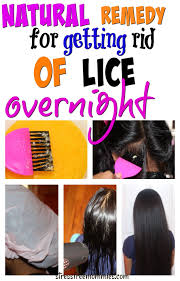 Pin On Susans Comb hair in the morning to remove dead lice and then rinse hair as usual.