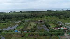 Properties below 50 Lakhs in Revdanda